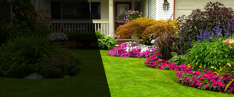 Buxton Landscapers