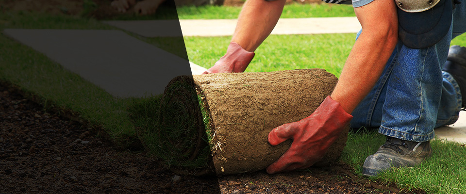 Buxton Landscapers